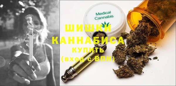 тгк Бердск